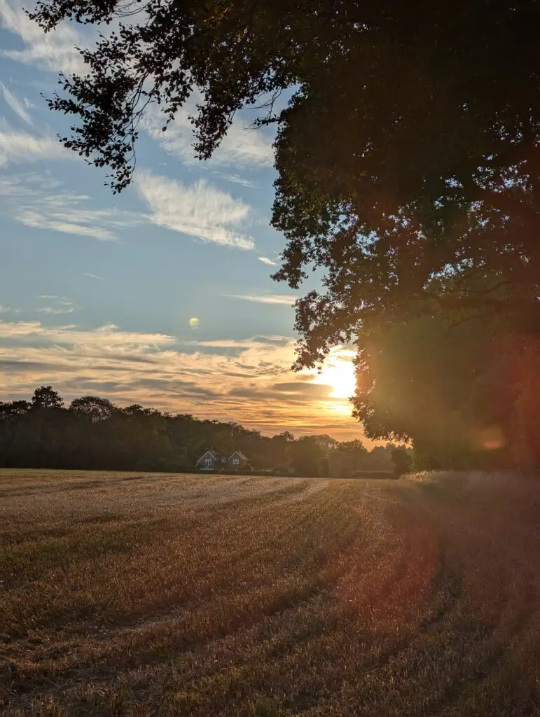 Self awareness is just the first step - the first ray of light - on the journey to self-discovery
