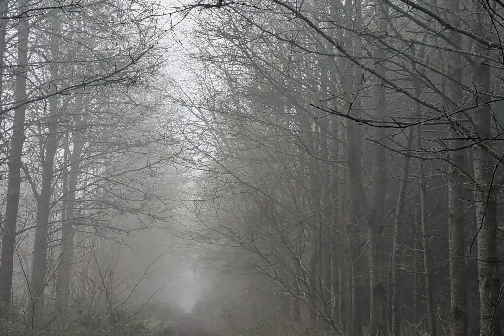Do you sometimes feel invisible? Maybe you're trying too hard.