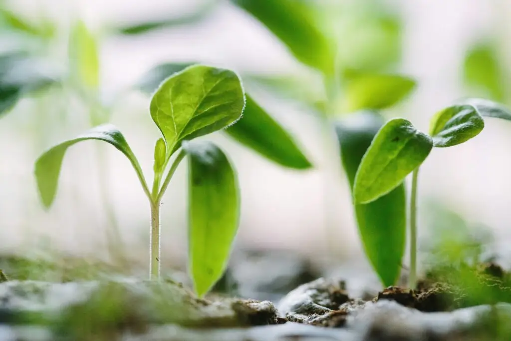 Seeking change? Self-awareness is just the beginning