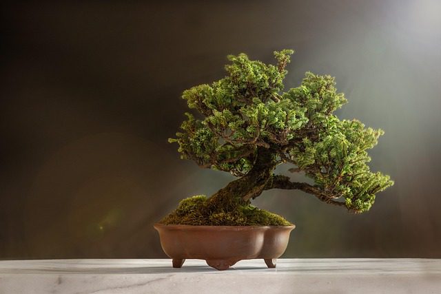 Do you feel like your growth has been stunted? Counselling can help.