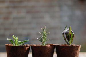 Worst Is Worst: Why Pain Is Not a Competition